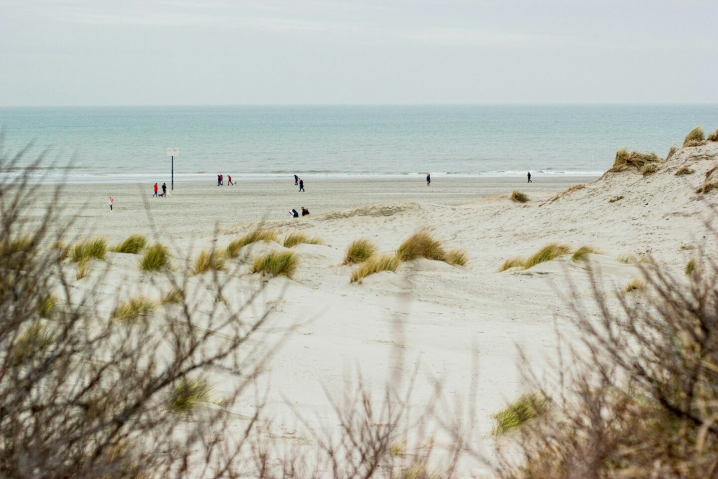 Mensen op het strand in Hoek van Holland